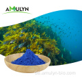 Natürliche Lebensmittelfarbe Blaues Spirulina-Phycocyanin-Pulver